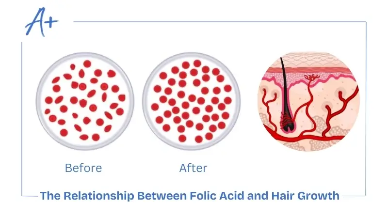 Relationship Between Folic Acid and Hair Growth