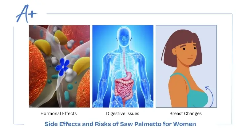 Side Effects and Risks of Saw Palmetto for Women
