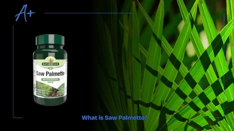 What is Saw Palmetto